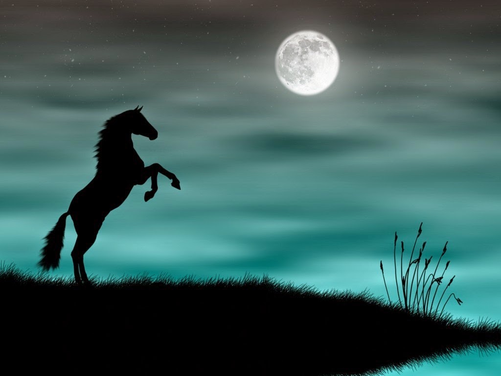 black-horse-backgrounds