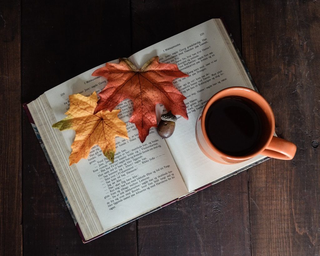 Družite se sa knjigom i u jesen: Kad zahladni, neka vas greje dobar roman